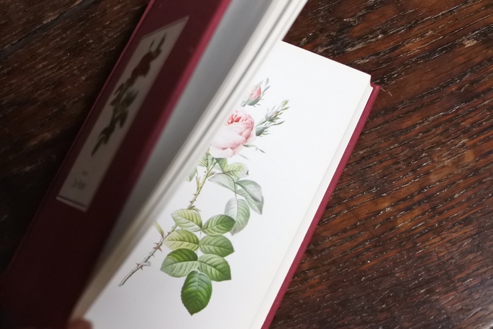 DieRosen」／「ROSES」Pierre-Joseph Redoute | Frobergue