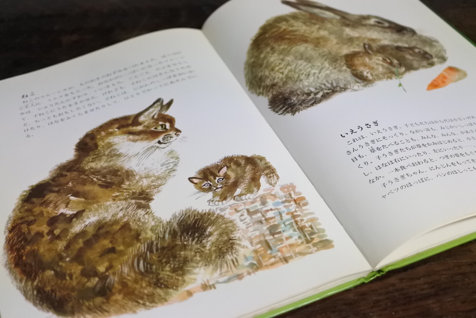 ロシアの絵本 鳥と動物について ニキータ・チャルーシン
