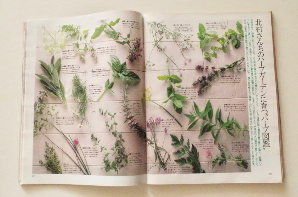 ハーブ料理やオリーブオイルを使ったアメリカの食文化を最初に紹介したのは 北村光世さんだった 前編 はな組 公式サイト