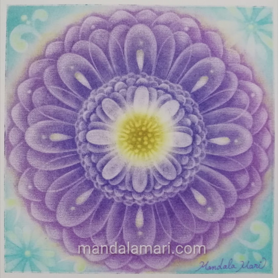 花曼荼羅アート ガーベラ Spiritual Art 曼荼羅真理 花曼荼羅アート ガーベラ Spiritual Art 曼荼羅真理