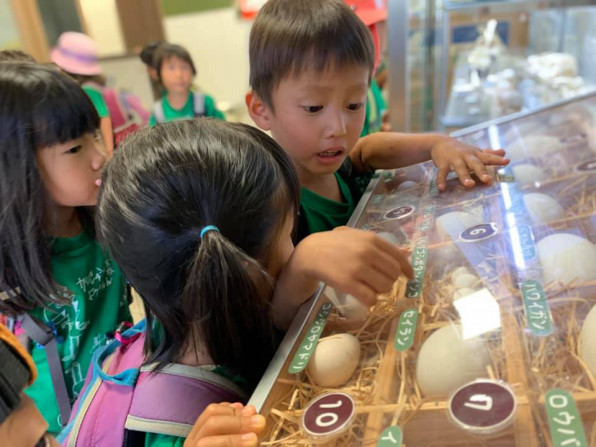 野毛山動物園 かいじゅうの森ようちえん