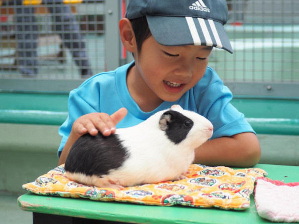 野毛山動物園 かいじゅうの森ようちえん