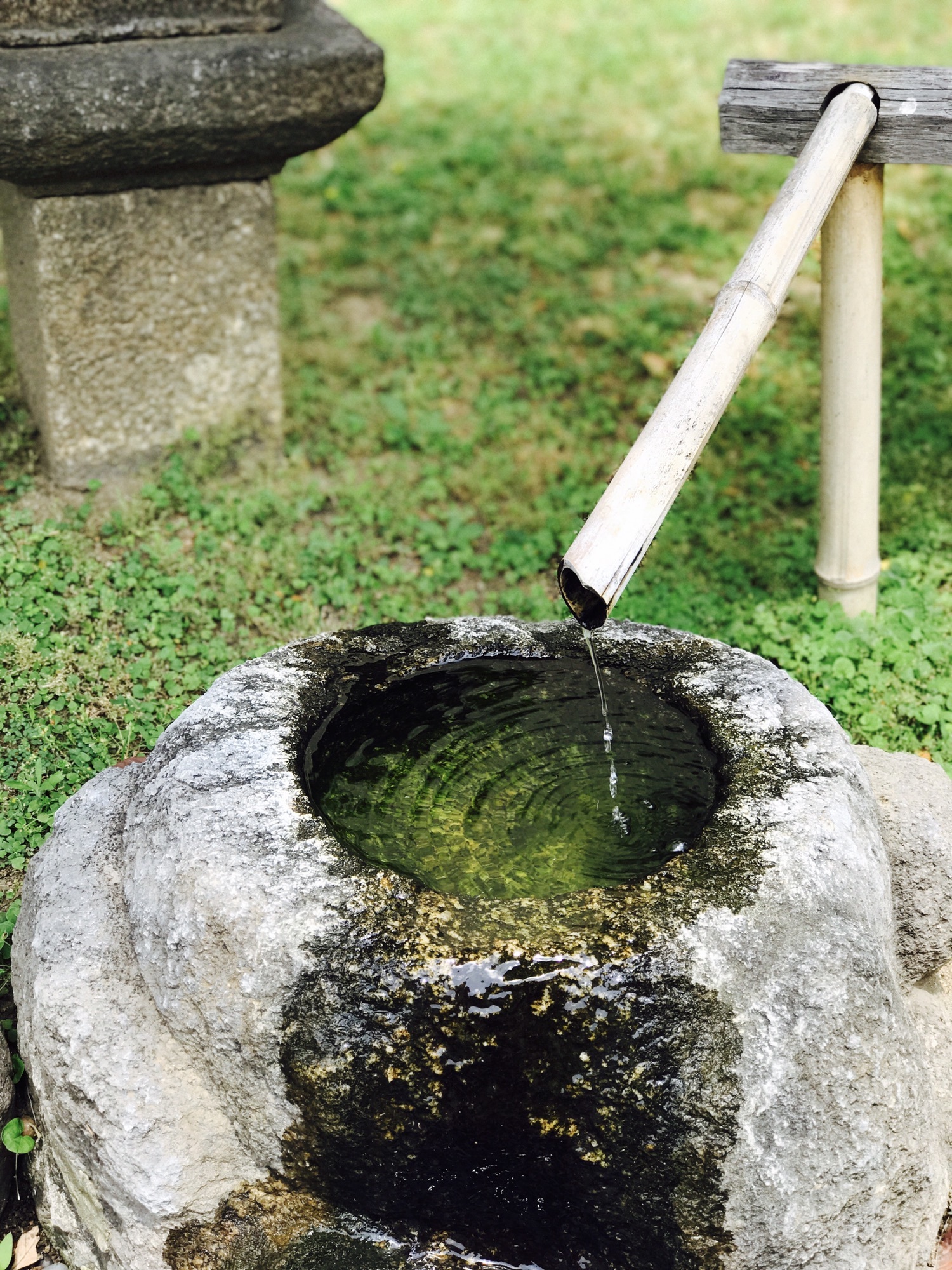 老松割蓋茶器と一閑人 | Toward the Way of Tea