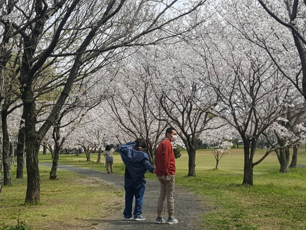 はる お花見に行きました はる Staffブログ