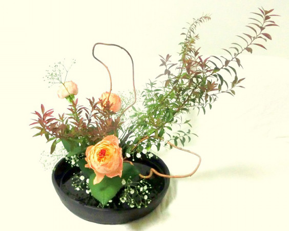 いけばな 自由花 Fleurs De Verite いけばな 自由花 Fleurs De Verite