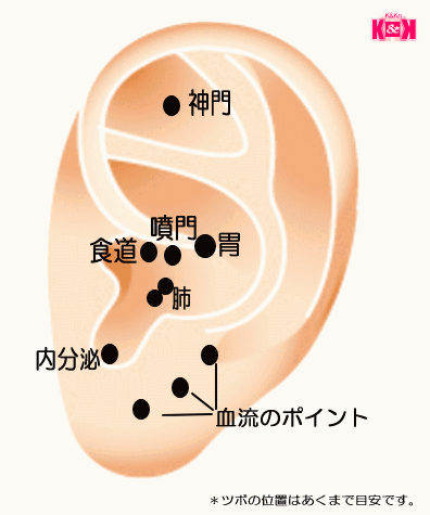 耳つぼダイエット 耳つぼジュエリー激安通販ショップｋ ｋｎ