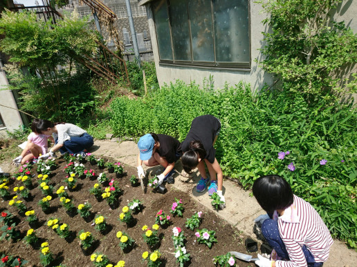 じ ば 子のおうちの畑に花を植えました じ ば 子のおうち