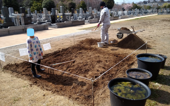 芝生を張りました 浄土宗 心行寺