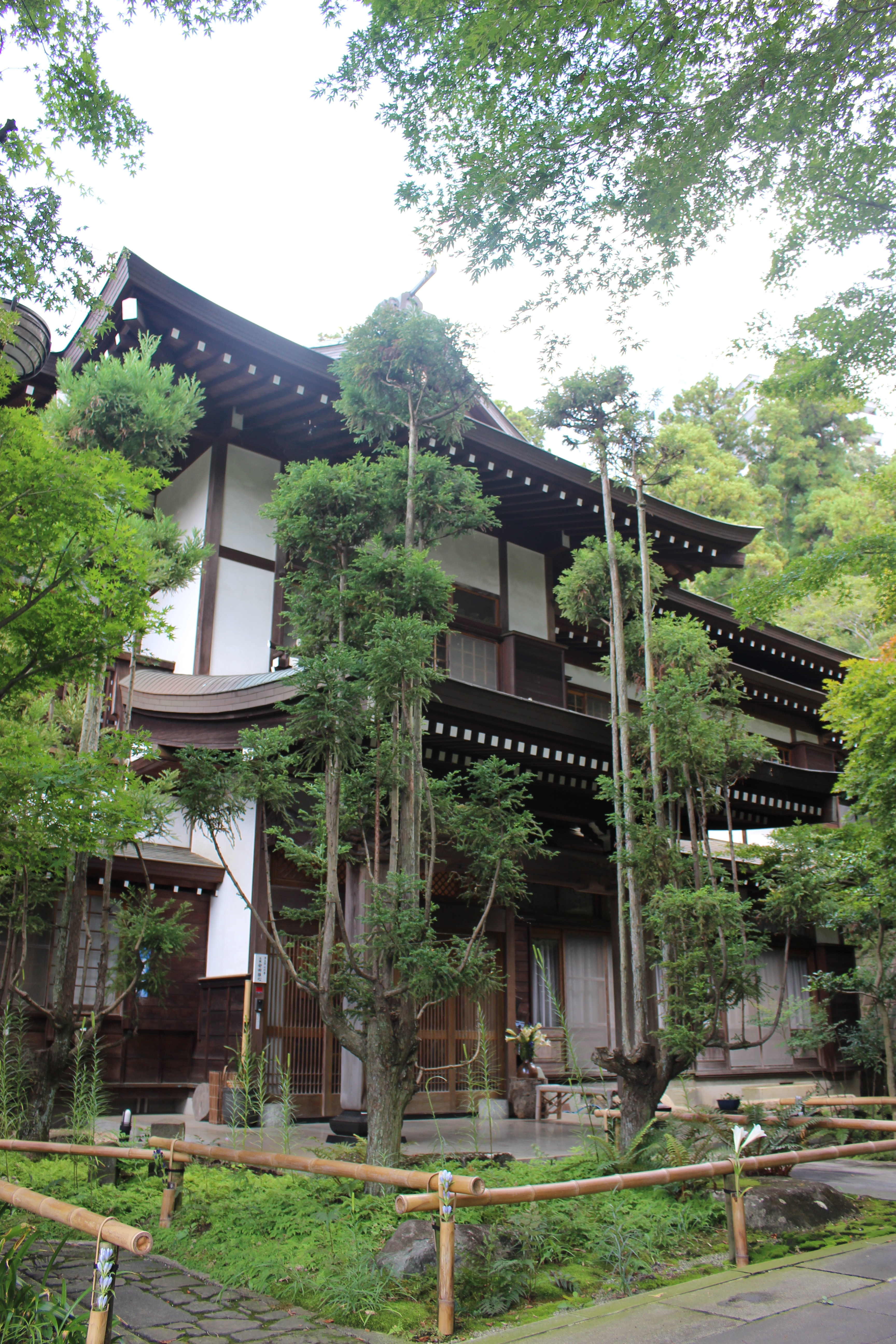 境内案内に『心行寺の台杉』を追加しました。 | 浄土宗 心行寺