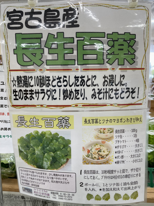 宮古島の恵 長生百薬 ネバネバ野菜 Kirana Ayurveda