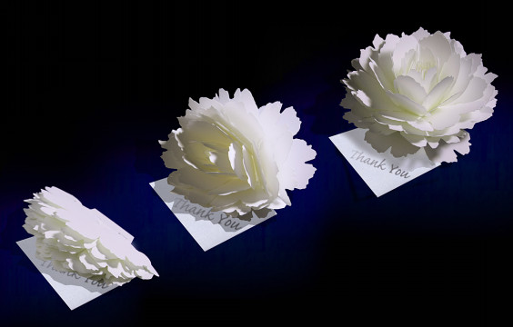 花のポップアップカード Paper Arts 花のポップアップカード Paper Arts