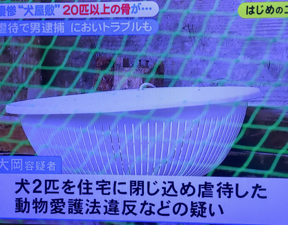 動物愛護法違反 逮捕 岐阜県 大垣市 Dojinbarの女将さん 一日一楽