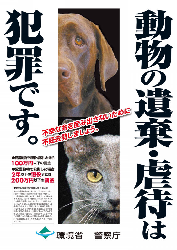 鹿児島県霧島市 首にカメラ 迷子犬の保護をお願いします Dojinbarの女将さん 一日一楽