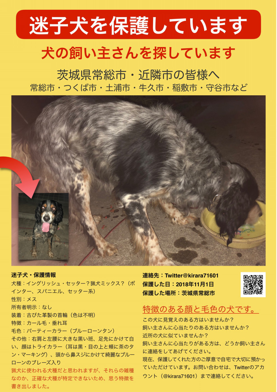 迷子犬の保護情報 茨城県常総市 この犬を知りませんか 飼い主さんを探しています Dojinbarの女将さん 一日一楽