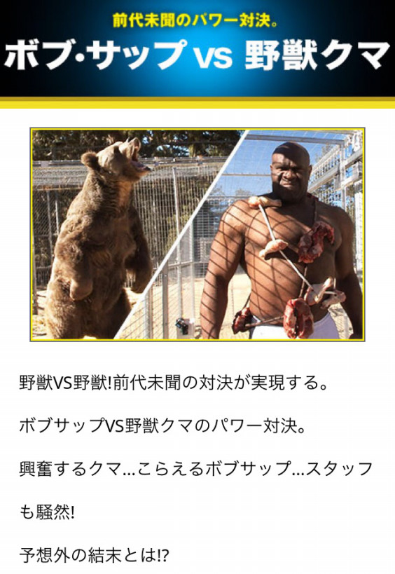 こんな年末番組は嫌だ Tbs Kyokugen 動物虐待 Dojinbarの女将さん 一日一楽 こんな年末番組は嫌だ Tbs Kyokugen 動物虐待 Dojinbarの女将さん 一日一楽