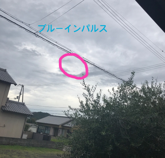 ブルーインパルス 有限会社溝口建設