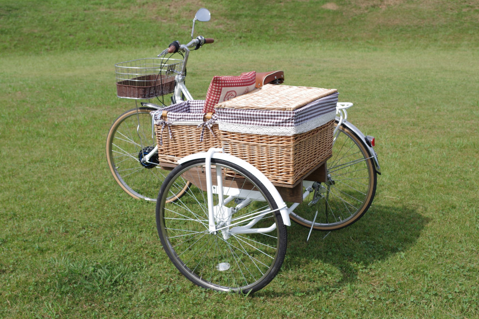 電動アシスト付き自転車サイドカー 電動アシスト自転車サイドカー