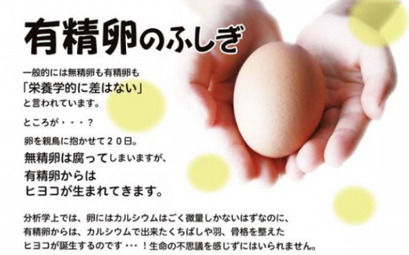 平飼い有精卵はスゴイ Island
