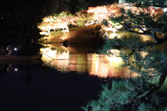 栗林公園紅葉ライトアップ たろすけのおうち 栗林公園紅葉ライトアップ たろすけのおうち