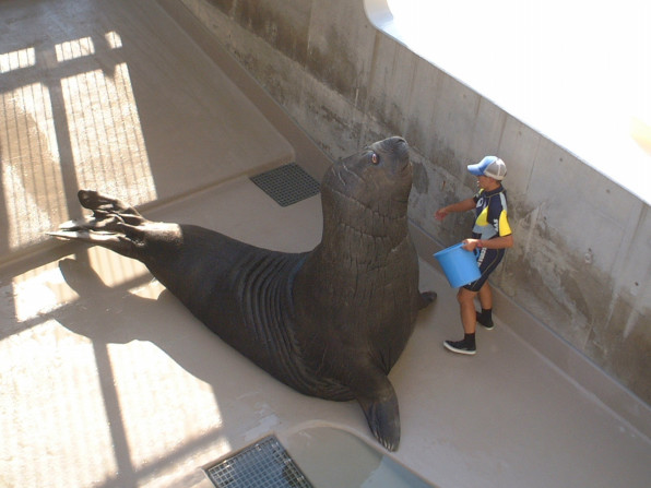 江の島水族館 みなぞう Kusukusuの徒然日記