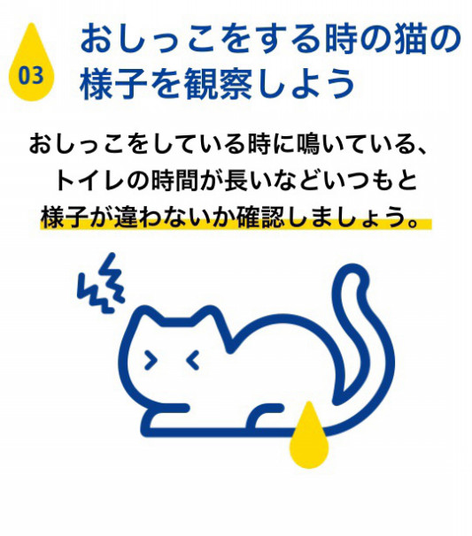 猫のおしっこチェックしてみませんか メディファス おしっこチェックproject ペットシッターサービス あんず