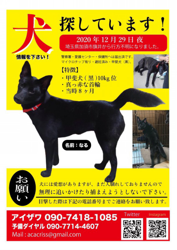 迷子ちゃん居ます! 明る