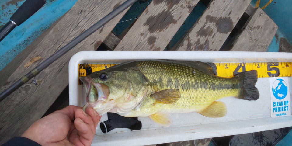 19多々良沼 K B S Bass Fishing Society Ownd 19多々良沼 K B S Bass Fishing Society Ownd