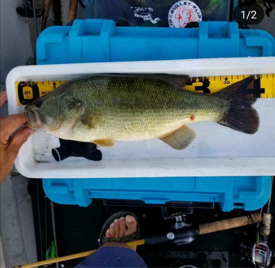 19多々良沼 K B S Bass Fishing Society Ownd 19多々良沼 K B S Bass Fishing Society Ownd