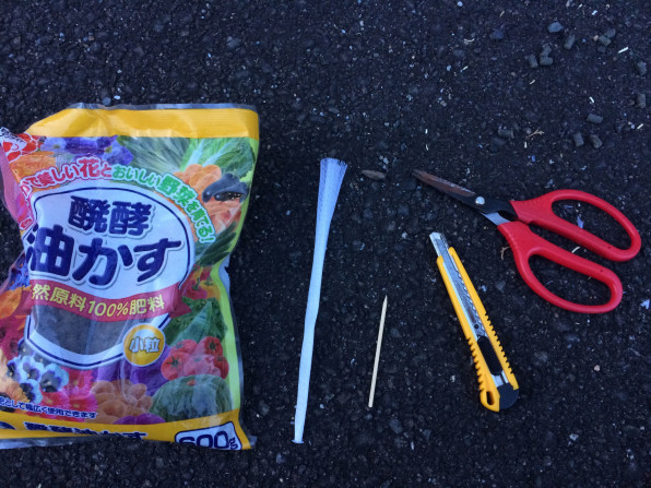 置き肥 再開 子育てパパの盆栽日記