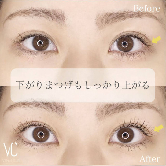 まつげパーマ ヴィーナスカール オーダーメイドまつげエクステサロンeyelash Salon Grace