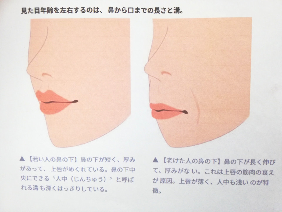 見た目年齢を左右するのは 鼻から口までの長さです 徳島 顔ヨガ 未来のわたしが輝くために