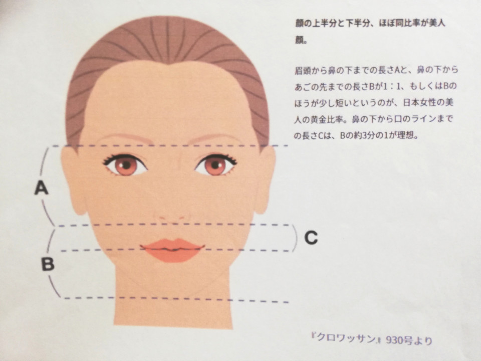 見た目年齢を左右するのは 鼻から口までの長さです 徳島 顔ヨガ 未来のわたしが輝くために