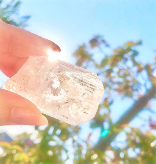 敵は我がなかにあり Desert Flower 砂漠に咲く 一輪の花