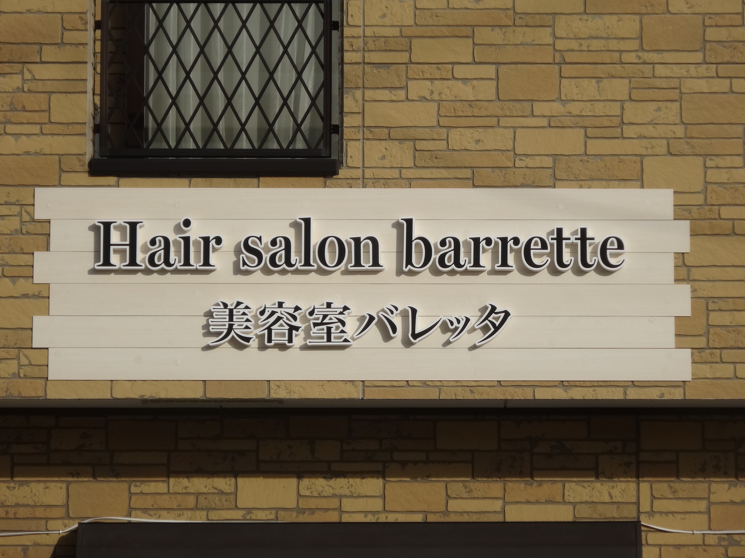 Hair Salon Barrette