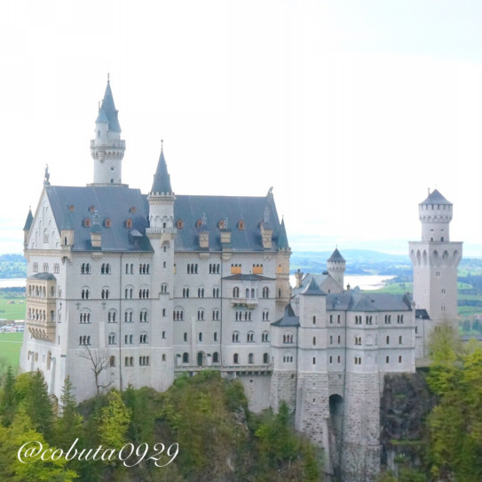 メルヘンの王道ノイシュヴァンシュタイン城 ドイツ Neuschwanstein城 旅する幸せ Cobuta Trip