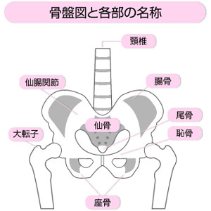 トコちゃんベルトすばらしい 仙台ヨガ部