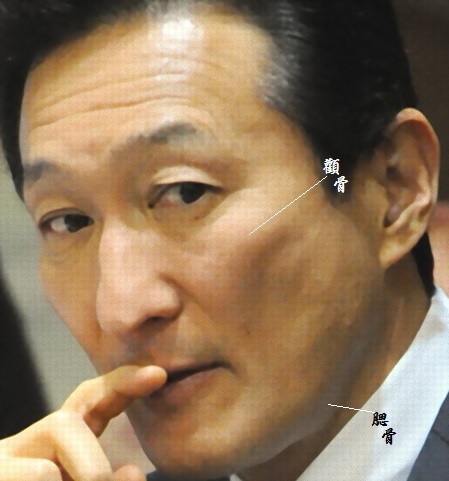 <渡辺美樹議員>「週休7日幸せか」 劍難相 | 占い太郎の顔相法
