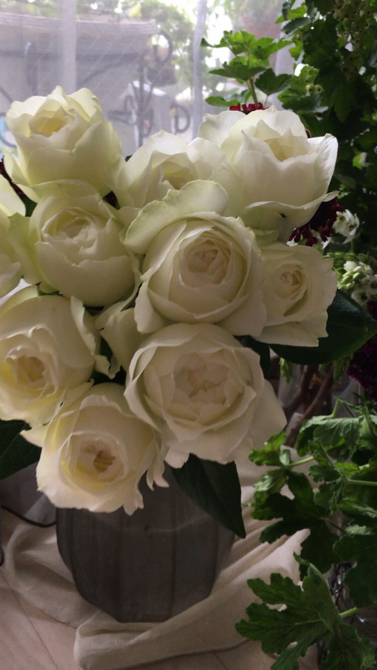 マシュマロとスカーレット Dans La Marge 花のある暮らし 花が教えてくれること マシュマロとスカーレット Dans La Marge 花のある暮らし 花が教えてくれること