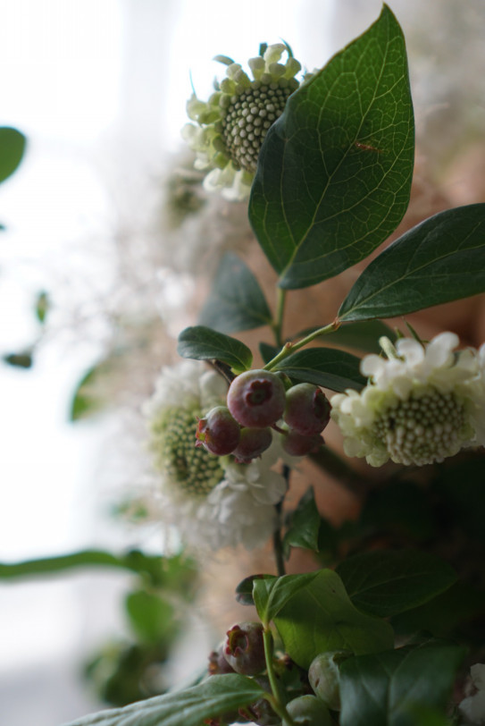 ブルーベリーとローズの初夏のブーケ Dans La Marge 花のある暮らし 花が教えてくれること