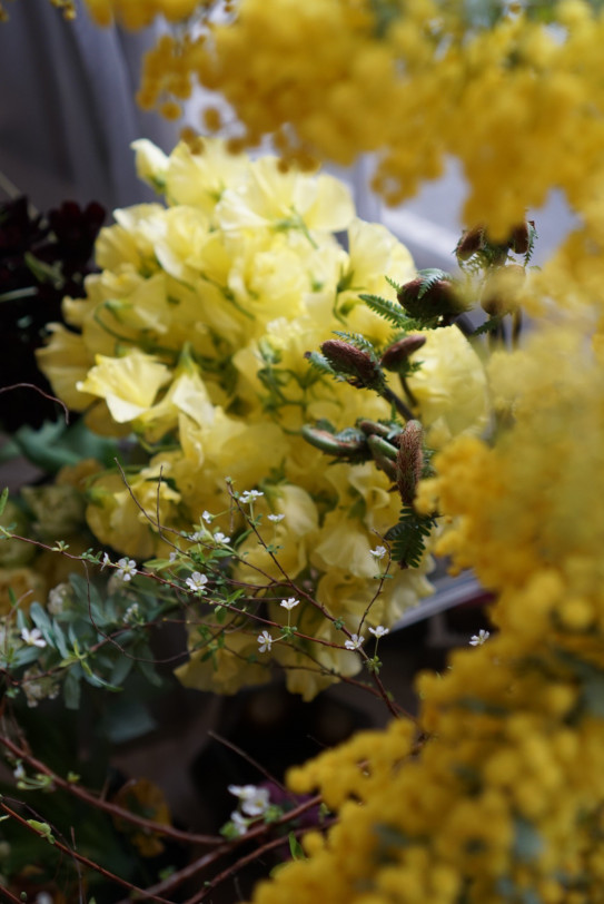 春を告げる花 幸せを呼ぶ花 Dans La Marge 花のある暮らし 花が教えてくれること