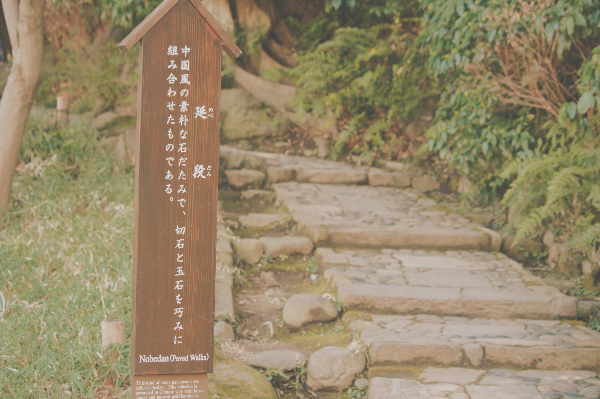 豊富な景色で癒される庭園-小石川後楽園〈Garden healing by various 