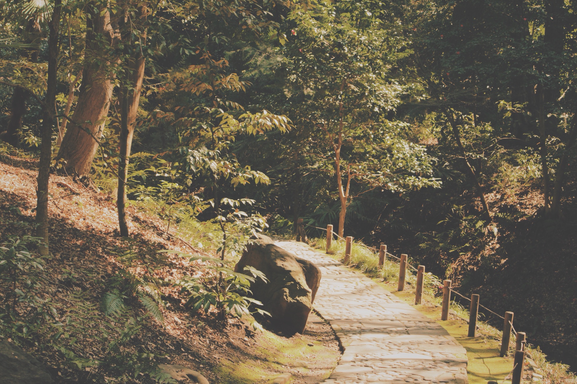 豊富な景色で癒される庭園-小石川後楽園〈Garden healing by various 