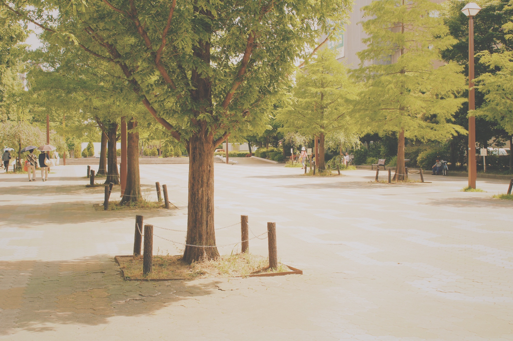 様々な景色が詰め込まれた公園-大横川親水公園u003cThe park packed 