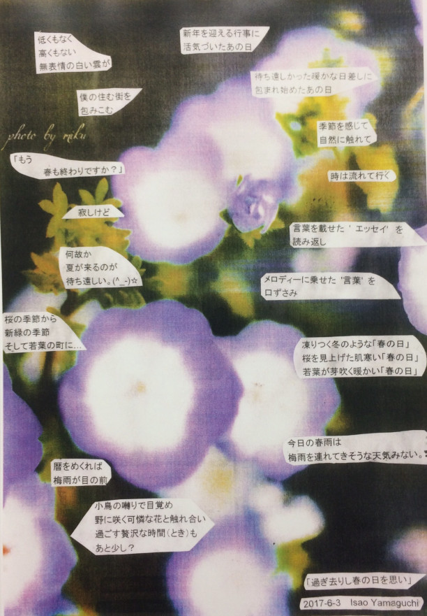 17年 6月 壁紙付き ポエム 雨と紫陽 その1 Isao 17年 6月 壁紙付き ポエム 雨と紫陽 その1 Isao