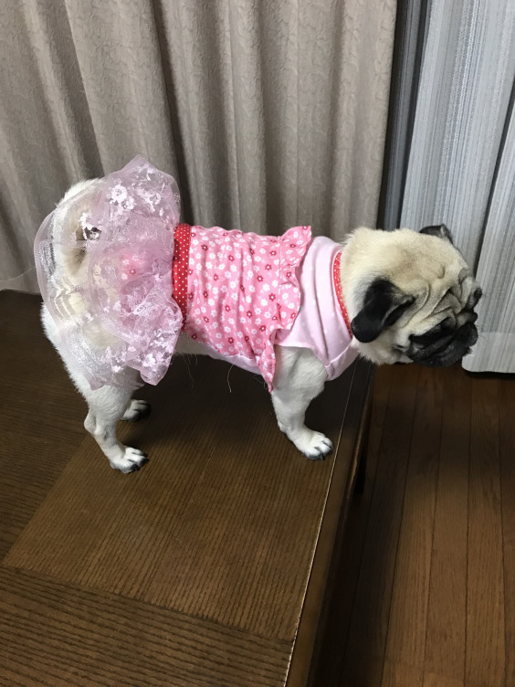フリフリのワンピース Lover S Mi フリフリのワンピース Lover S Mi