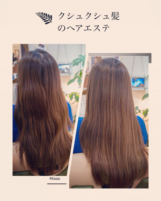 クシュクシュ髪のヘアエステ ホロポノスタイル 公式