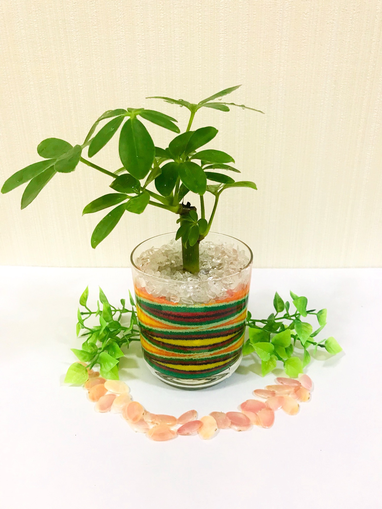 観葉植物のカラーサンドアート♡ | inset.edu.ar