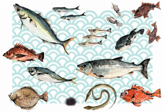 Papa 妊娠中のお魚編 Papa S Work