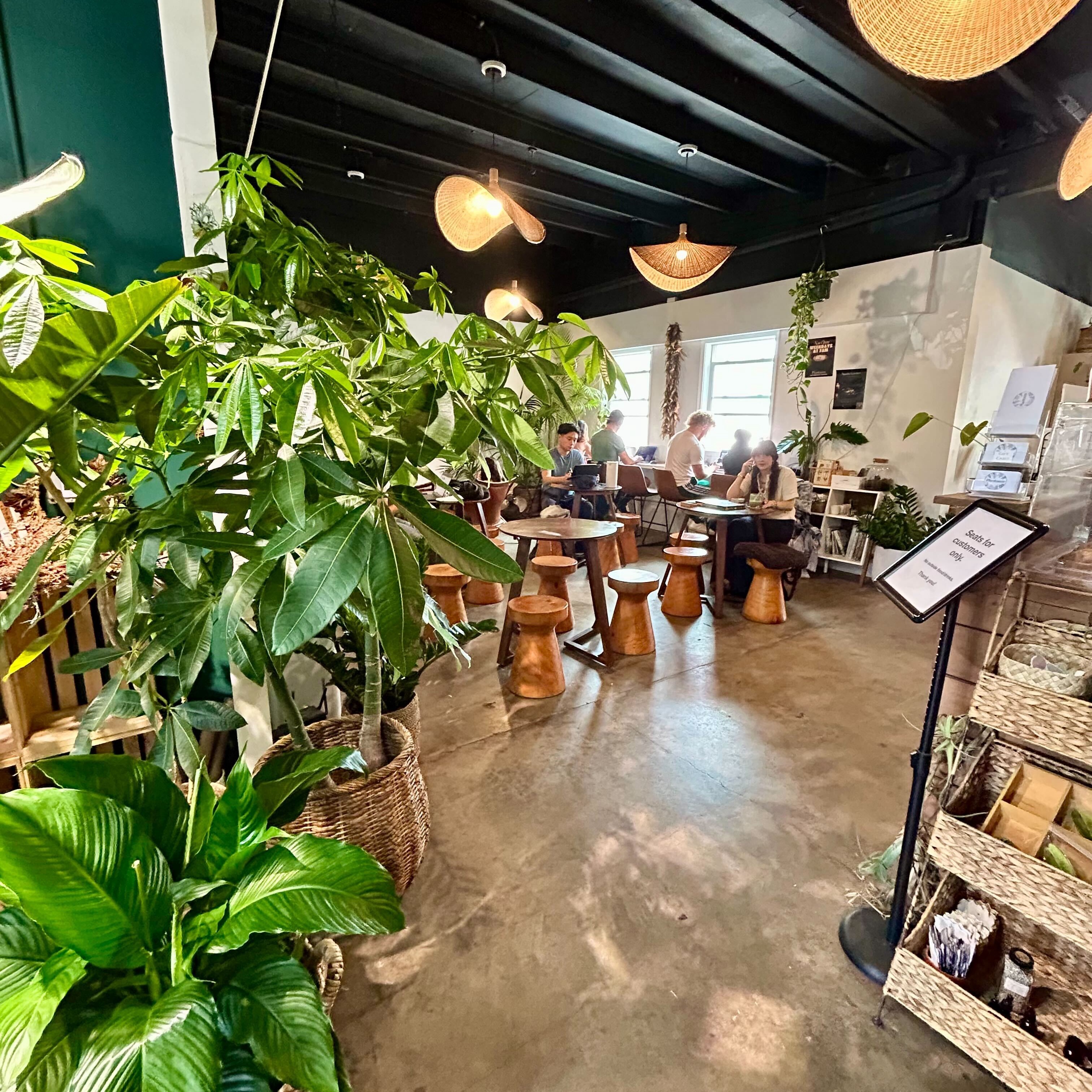 緑あふれるガーデンカフェ「Plantoem」 | セブンシグネチャーズ