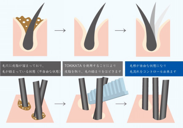 TOKIKATA トキカタ、これはスゴイ！！☻☻☻ | À LA MAISON アラメゾン  